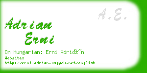 adrian erni business card